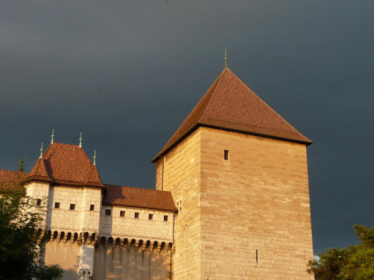 Appartement Dans La Vieille Ville, En Face Du Chateau Annecy Exteriör bild
