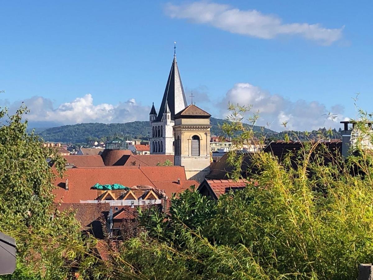 Appartement Dans La Vieille Ville, En Face Du Chateau Annecy Exteriör bild