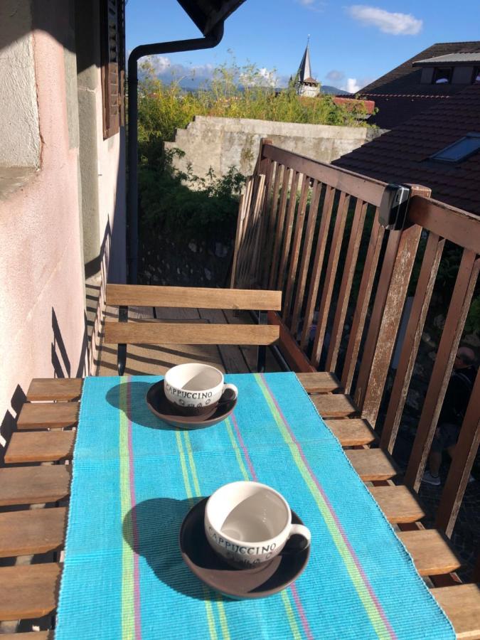 Appartement Dans La Vieille Ville, En Face Du Chateau Annecy Exteriör bild